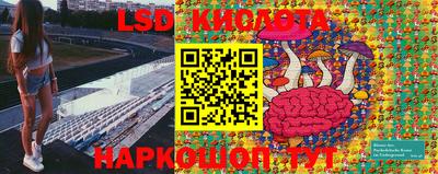 гидропоника Кингисепп