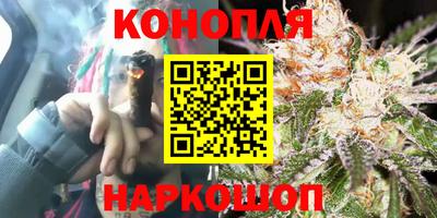 гидропоника Кингисепп