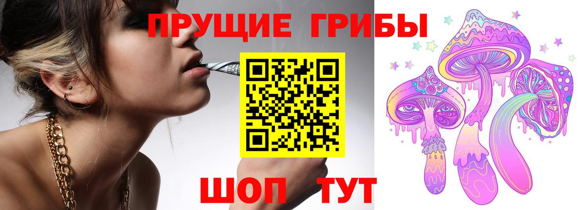 Кудрово  Галлюциногенные грибы ЛСД  Галлюциногенные грибы GOLDEN TEACHER  Вход с VPN 